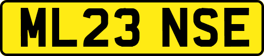 ML23NSE