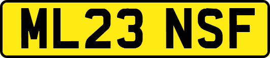 ML23NSF