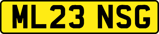 ML23NSG