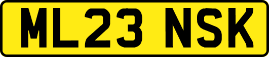 ML23NSK