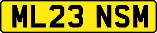 ML23NSM