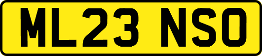 ML23NSO