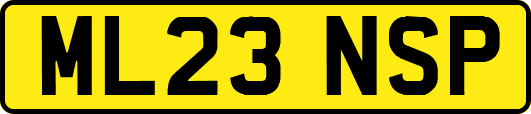 ML23NSP