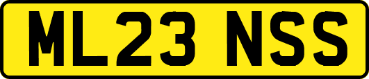 ML23NSS