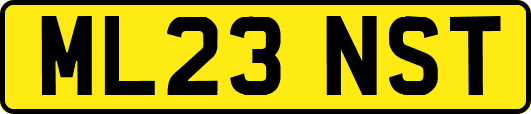 ML23NST