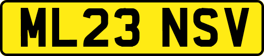 ML23NSV