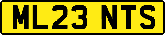 ML23NTS