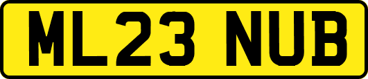 ML23NUB