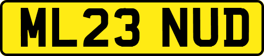 ML23NUD