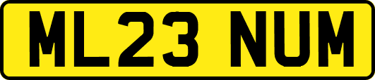 ML23NUM