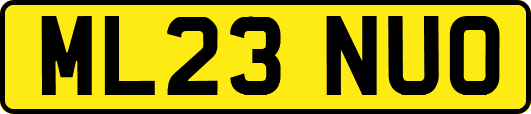 ML23NUO