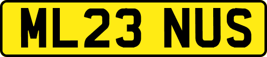 ML23NUS