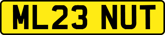 ML23NUT