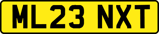 ML23NXT