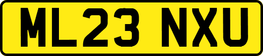 ML23NXU