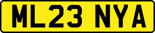 ML23NYA