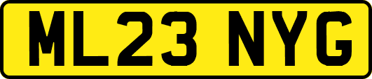 ML23NYG
