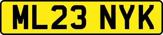 ML23NYK