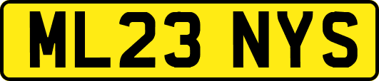 ML23NYS