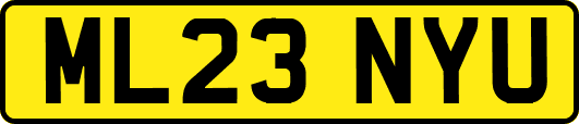ML23NYU