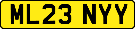 ML23NYY