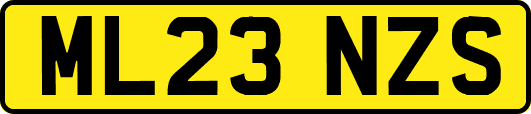 ML23NZS