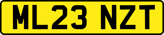 ML23NZT