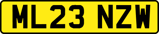 ML23NZW