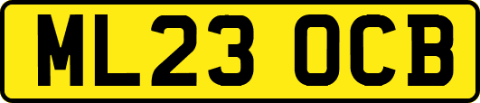 ML23OCB
