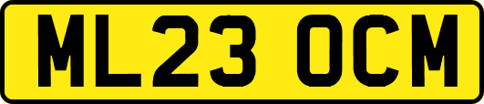 ML23OCM