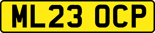 ML23OCP