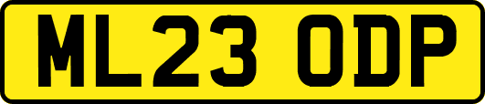ML23ODP