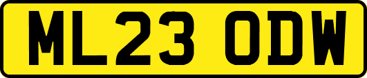 ML23ODW
