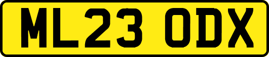 ML23ODX