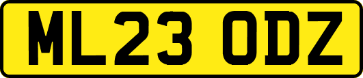 ML23ODZ