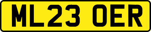 ML23OER