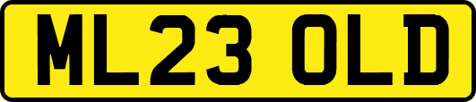 ML23OLD