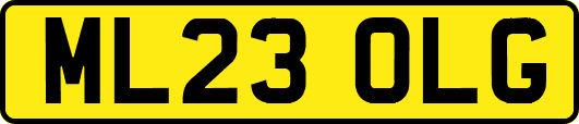 ML23OLG