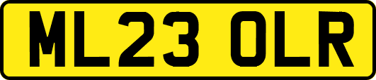 ML23OLR
