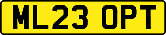 ML23OPT