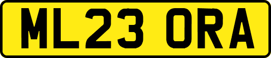 ML23ORA
