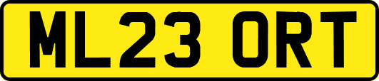 ML23ORT