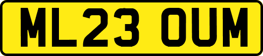 ML23OUM