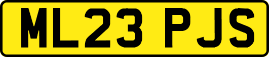 ML23PJS
