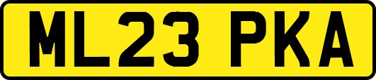 ML23PKA