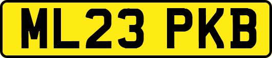 ML23PKB