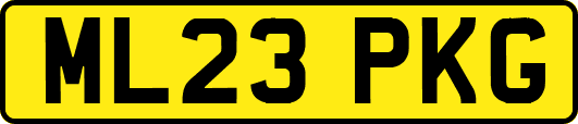 ML23PKG