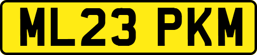ML23PKM