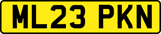 ML23PKN