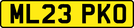 ML23PKO